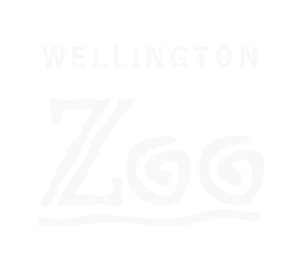Welly-Zoo-Logo