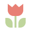 5253056_tulip_present_flower