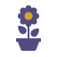 home_pot_flower