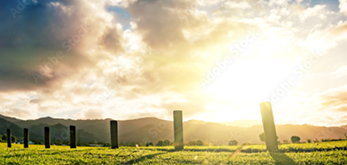 Environmental Management Software