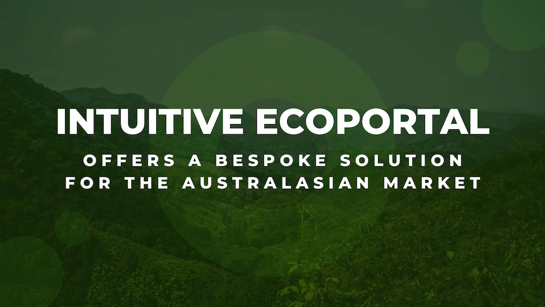 intuitive ecoportal (2)