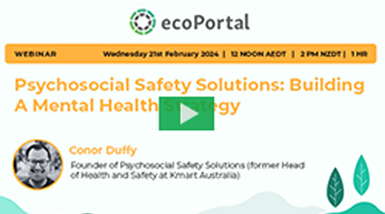 Mental Health Strategy Webinar