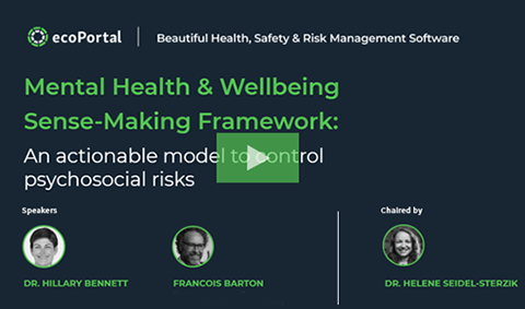 Mental health webinar