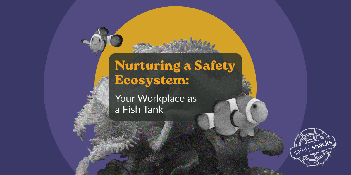 Your Workplace as a Fish Tank