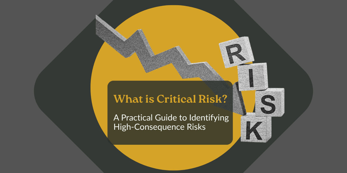What is Critical Risks?