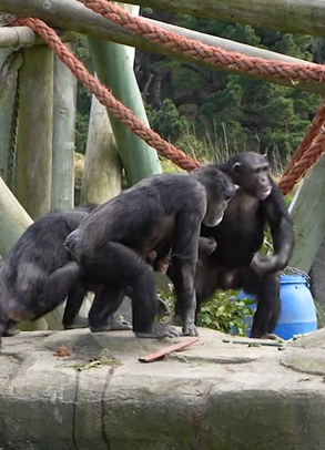 misc-wellington-zoo